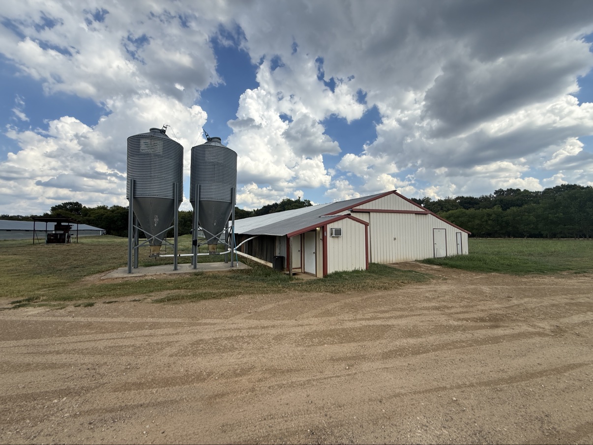Poultry farm complex with feed silos and poultry houses